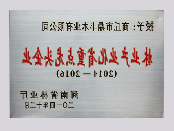 企业荣誉
