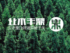 品牌故事